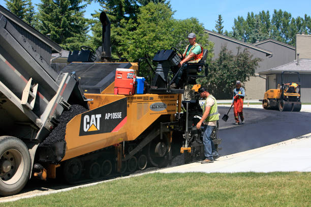 Best Driveway Pavers Near Me  in Steelevle, IL